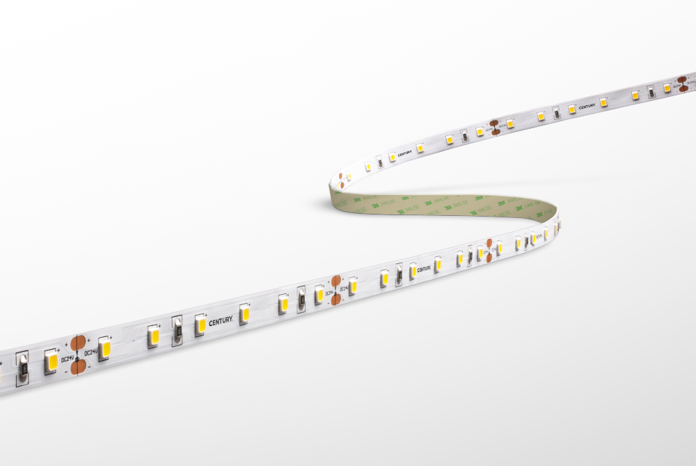 CENTURY ACCENTO LED pásek 5m 12W/m 6000K 24V