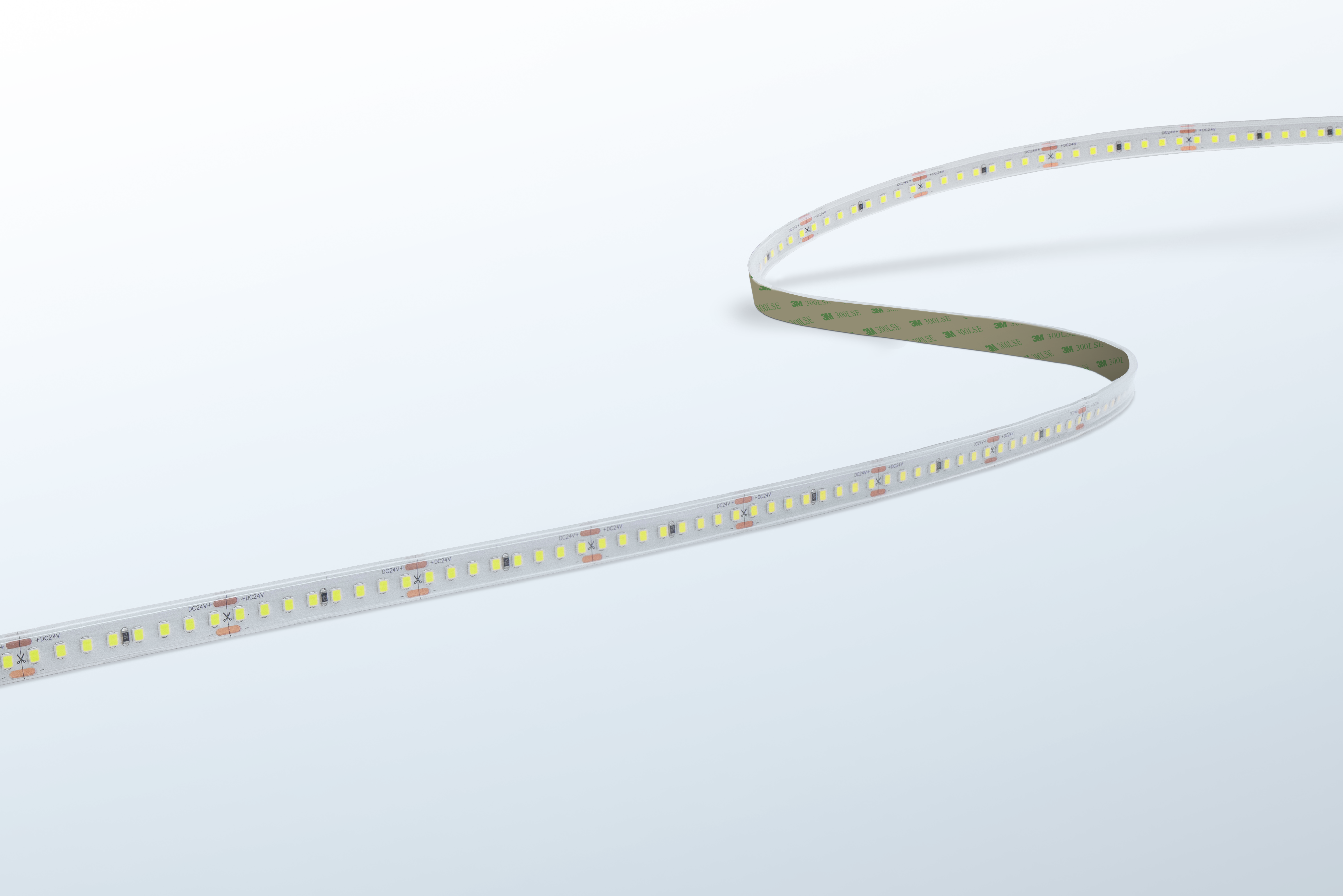 Century ACCENTO FOOD 14W/m 2100lm/m 5.700K 120° IP65 na ryby